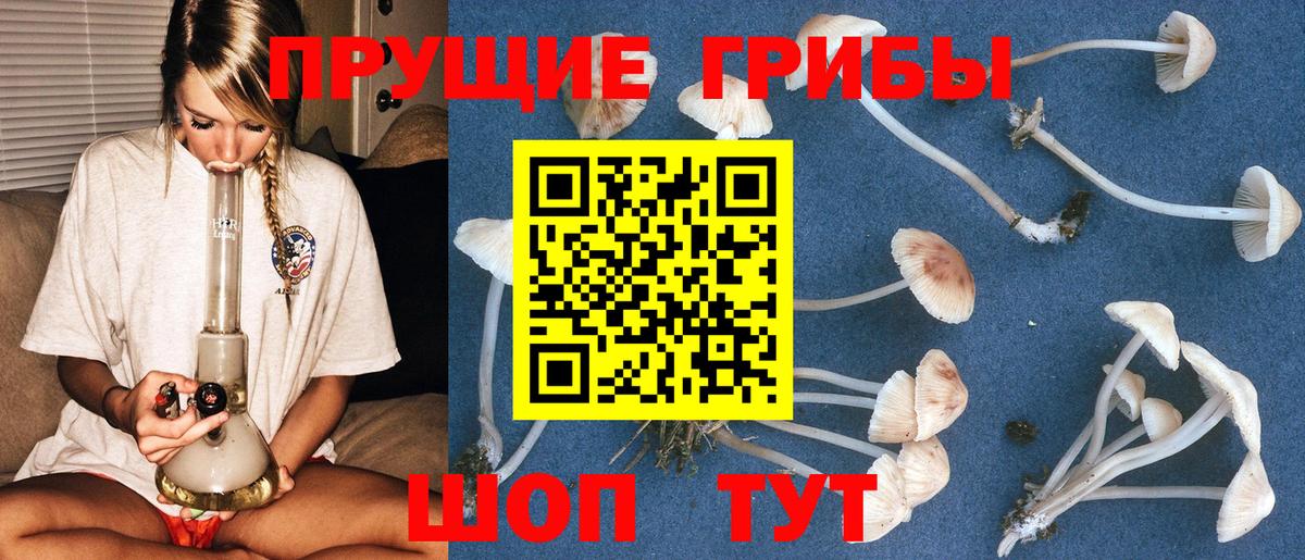 наркошоп  Вход с VPN  Златоуст  Галлюциногенные грибы MAGIC MUSHROOMS 